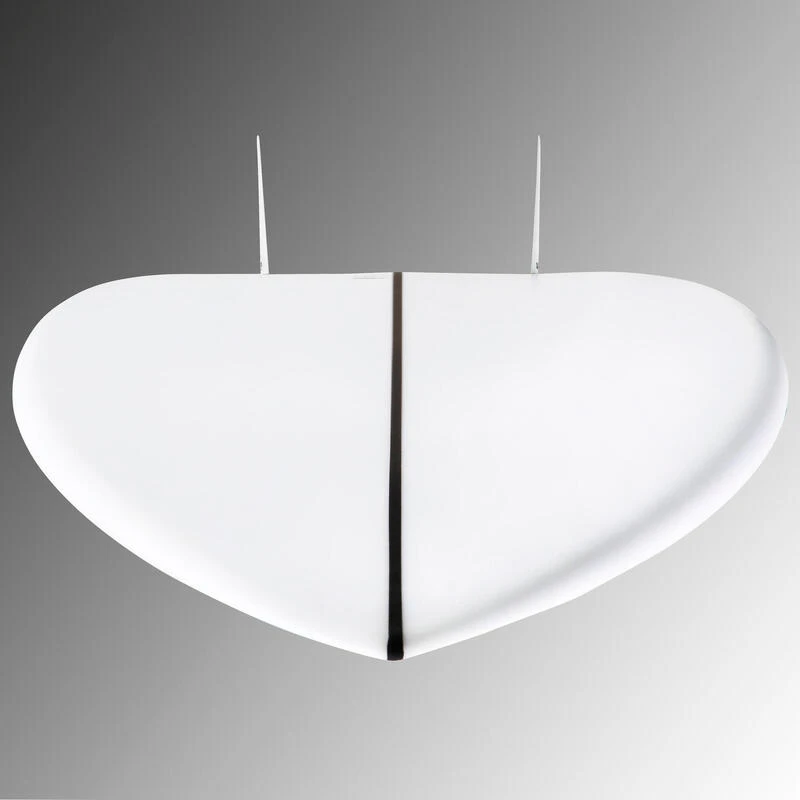 FISH 900 5'8" 35 L. LivrĂ©e Avec 2 Ailerons Twin . â Image 8